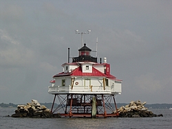 Yawn..................-thomas-point.jpg