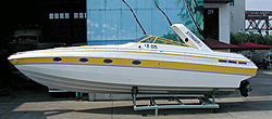 What is this?-stinger3.jpg