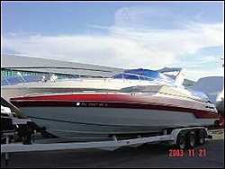 What is this?-stinger4.jpg