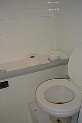 The complete 336 thread-1995_bathroom.jpg