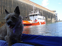 TIBBC "The Thread" again...-dsc01216.jpg