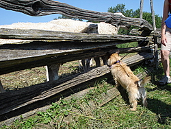 TIBBC "The Thread" again...-dsc01225.jpg