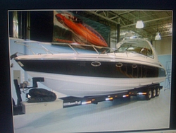 Pulled the trigger-029.jpg