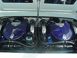 Steplates-dsc00466.jpg