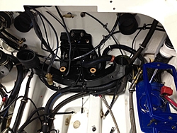 Put the bird in a nest-9.jpg