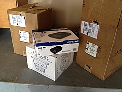 Put the bird in a nest-boxes.jpg