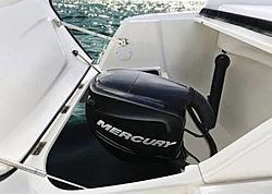 Formula 336 Outboard conversion-image.jpeg