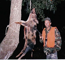 Project 311 SR1-first-hog.jpg