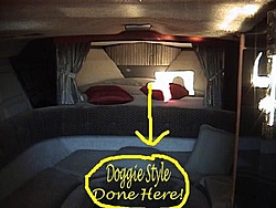 Cabin Question-doggy.jpg
