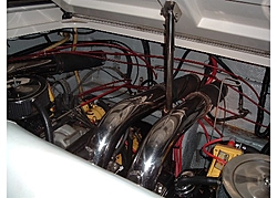 Cuda-dscf0183.jpg