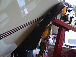 Bow Protector-0810081459.jpg