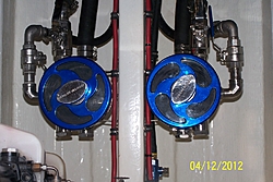 Need help with flush kit-389.jpg