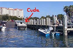 WTF? Sarasota Boating-cuda.jpg