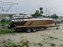 got me a new boat-copy-stinger.jpg