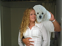 Is Wasabe bored?-poodle-couple.jpg