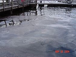 Tanker Spills Oil Into Delaware River-dsc00815%5B1%5D.jpg