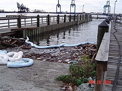 Tanker Spills Oil Into Delaware River-dsc00818%5B1%5D.jpg