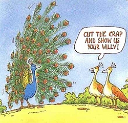 OT: Risk's Cartoon of the Day (10/8)-peacock.jpg