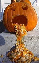 OT: Risk's Photo of the Day (10/10)-pumpkinsml.jpg