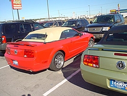 Spotted:  05 Mustang conv.-05-mustang-002.jpg