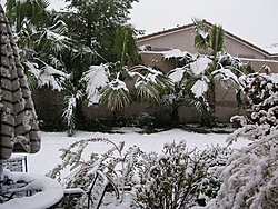 Vegas Snow!-snow.jpg