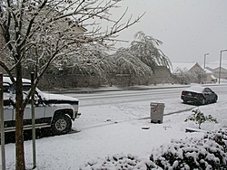 Vegas Snow!-snow2.jpg