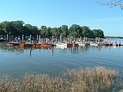 Mt Dora Antique Boat Show-mt-dora-057.jpg