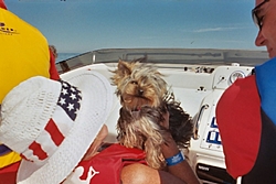 Lake Erie-This Weekend-kirby-blowing-wind.jpg-smaller.jpg