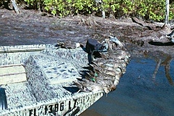 What is this boat for????-more-fla-ducks.jpg