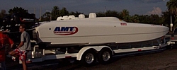 Amt cats any good?-amt8.jpg