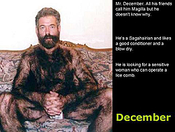 I found the Chippendale calender look closely-dec.jpg