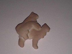 BAD animal crackers-image062.jpg