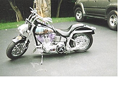 Boats and bikes, who has 'em?-custom-harley.jpg