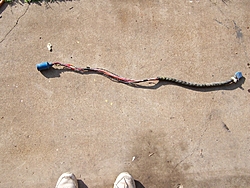 Need a wiring harness-100_0847.jpg