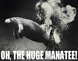 Manatee Zones in NJ ?-manatee2.jpg