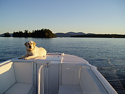 Center Console or Go Fast?-p9050377.jpg