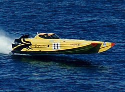 Old Race Cat Pics-fortuna.jpg