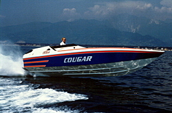 Cougar 33-pleasure-us1-33.jpg