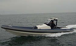 Cougar 33-cougar_10m_r10_rib_pic8.jpg