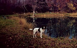 My #1 Son-brandy-pond.jpg