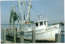 Apache spotted in S.W. Florida-apache.jpg