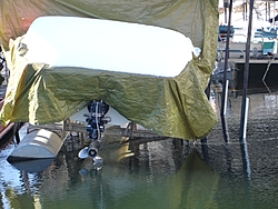 Loto snow damage.-dock4.jpg