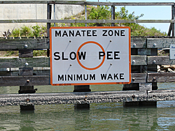 Manatee Zones, just don't work-slow-pee.jpg