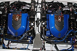 What is the best kind of flushing system for stern drive performance boats-enginesinboat1.jpg