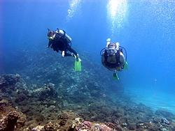 Let' See thoose Favorite Summer Pics....-madison-dad-scuba-8-10-06-reduced-3.jpg