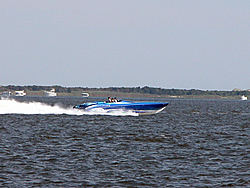 just a few pics from The Barnegat Bay NJ-dscn8942.jpg