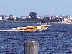 just a few pics from The Barnegat Bay NJ-dscn8953.jpg