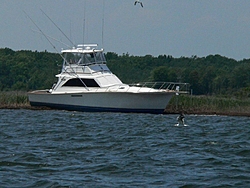 46' Ocean Yacht high and dry 'beached' in Forked River, NJ - pics-p1050221.jpg