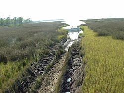 46' Ocean Yacht high and dry 'beached' in Forked River, NJ - pics-pic09961.jpg