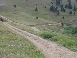 Leadville 100-columbine-above-treeline.jpg